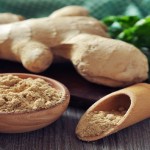 Ginger1