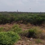 Sanjay Van