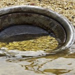 gold River