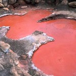 japan bloody pond1