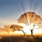 sunrise
