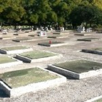 the dead Came out of grave2