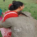 Hari parajuli Agriculture Minister’s2