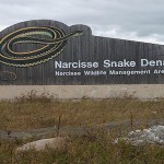 Narcisse Snake Dens1