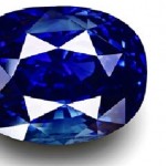 Nilmani