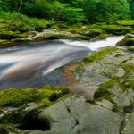 River Wharfe1