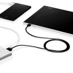 Sony CP-F10L 10000mAh