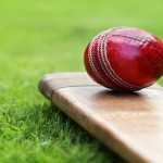 cricket