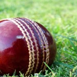 cricket1