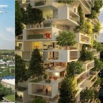 forest-in-the-sky