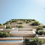 forest-in-the-sky3