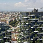 forest-in-the-sky4