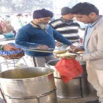 free-food4
