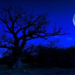 moon2