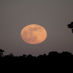 moon4