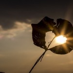 sun1