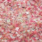 Father Gets Angry with Son and Daughter-in-law, Cuts the Currency note worth Lakhs