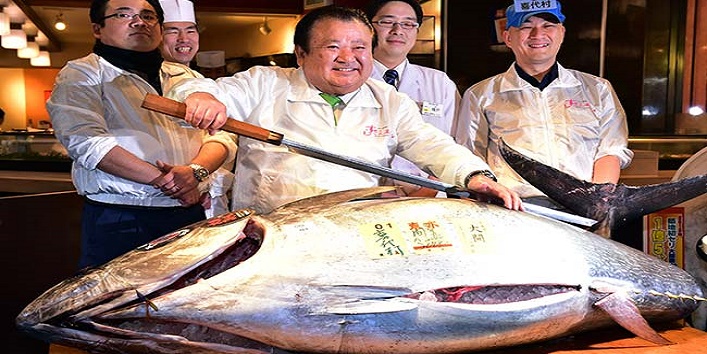 Most Expensive Tuna Fish1