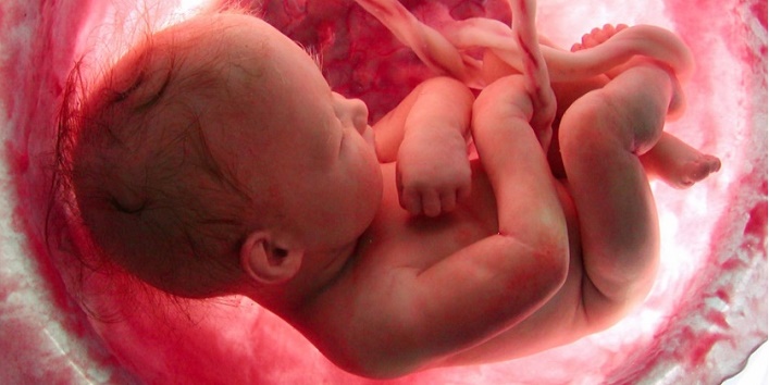 देखिए गर्भ में पल रहे बच्चे का डांस