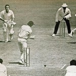 cricket
