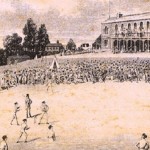 cricket6