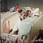 laika111