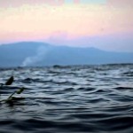 loktak-lake-imphal1