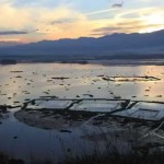 loktak-lake-imphal2