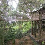 mawlynnong3