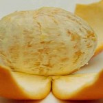orange2
