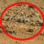 इस-बार-NASA-को-वहां-छिपकली-जैसे-जंतु-की-आकृति-मिली-है