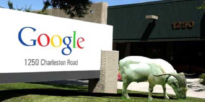 क्या आपको मालूम है गूगल में नौकरी करती हैं बकरियां