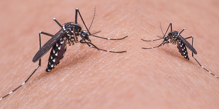 ज़ीक़ा-वायरस-का-खतरा-आज-पूरी-दुनिया-में-मंडरा-रहा