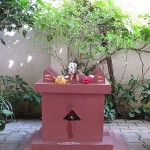 tulsi1