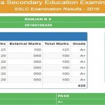 Class-X-student-5