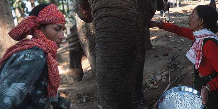दुनिया की पहली महिला महावत, इनके इशारों पर झूमते है हाथी