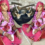bishnoi_1462202964