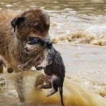 humanity-restored-766_146