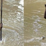 humanity-restored-77_1463