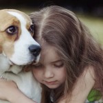 istock_000068947339_medium_wide-d281af87008ebd62d2862a60d9394f4b37097160-s900-c85
