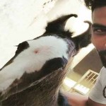 jadeja