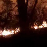 uttrakhand-forest-firesm