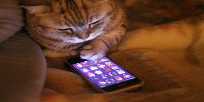 Cat fixes your water soaked mobile phone 1