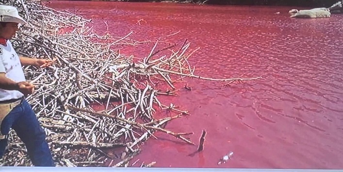 खूनी तालाब – हमेशा खून से भरा रहता है यह तालाब