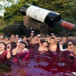 JAPAN spa-that-will-let-you-bathe-in-wine-tea-coffee3