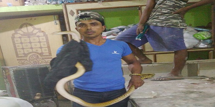 vicky save snakes in JHARKHAND1