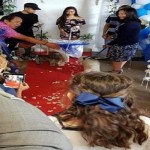 Millions of rupees spent at this dog wedding 2