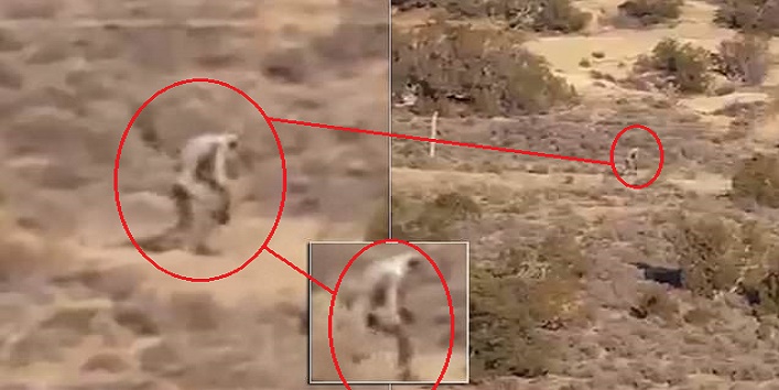रेगिस्तान में दिखा रहस्यमयी जीव अचानक हुआ गायब, देखें वीडियो