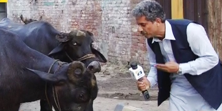 interview of buffalo1