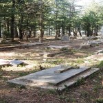 kabristan,catholic religion,religion,cemetery,